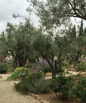 Faithnd Garden Of Gethsemane